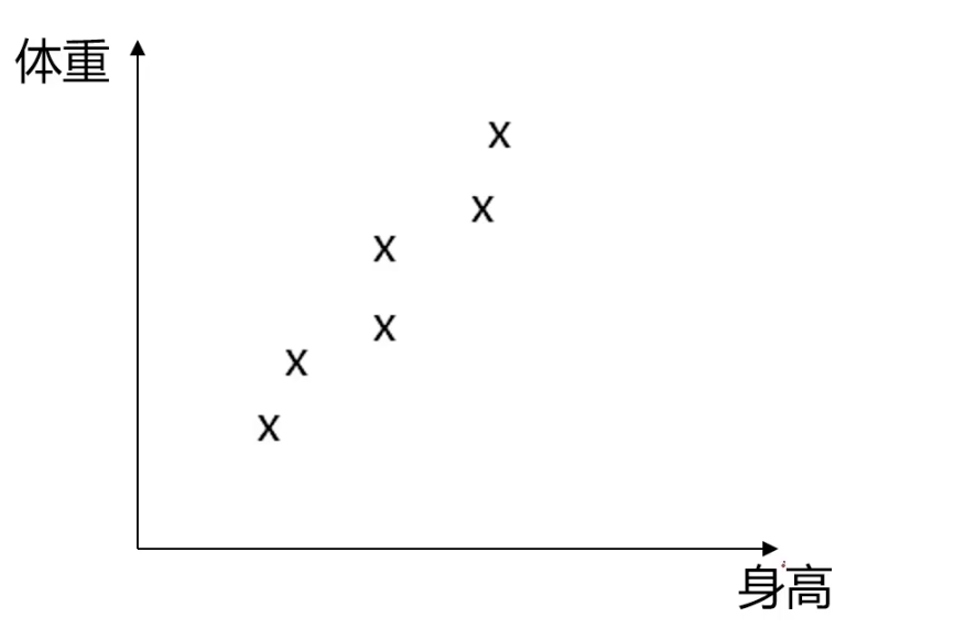身高体重